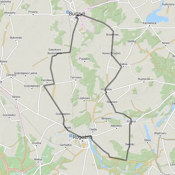 Map miniature of "Sierniki Discovery Ride" cycling inspiration in Wielkopolskie, Poland. Generated by Tarmacs.app cycling route planner