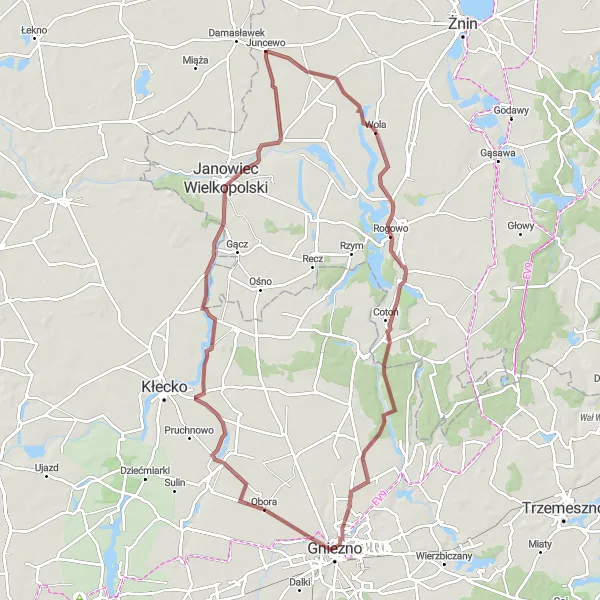 Map miniature of "Wonders of Wola and Goślinowo" cycling inspiration in Wielkopolskie, Poland. Generated by Tarmacs.app cycling route planner