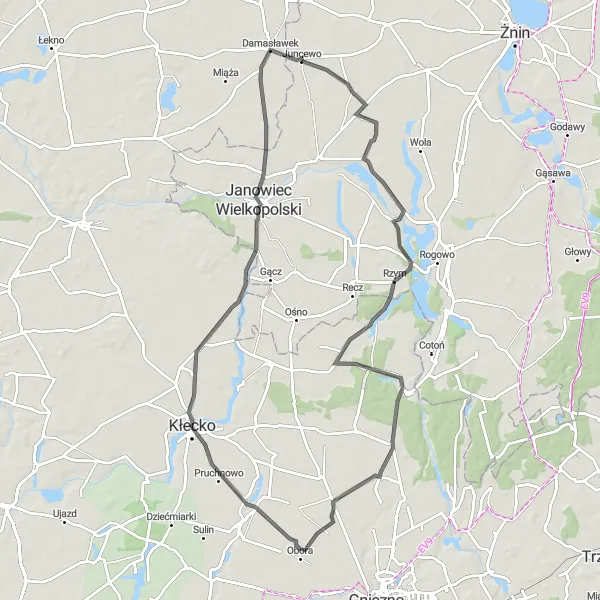 Map miniature of "Rogowskie Lake and Zdziechowa Loop" cycling inspiration in Wielkopolskie, Poland. Generated by Tarmacs.app cycling route planner