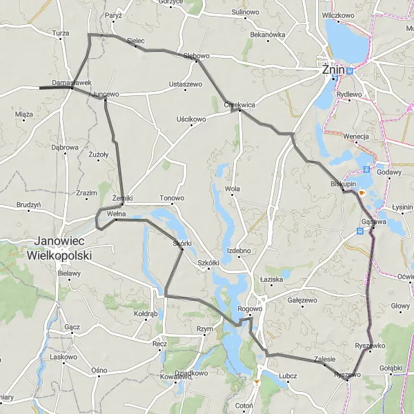 Map miniature of "Gogółkowo and Jezioro Rogowskie Extravaganza" cycling inspiration in Wielkopolskie, Poland. Generated by Tarmacs.app cycling route planner