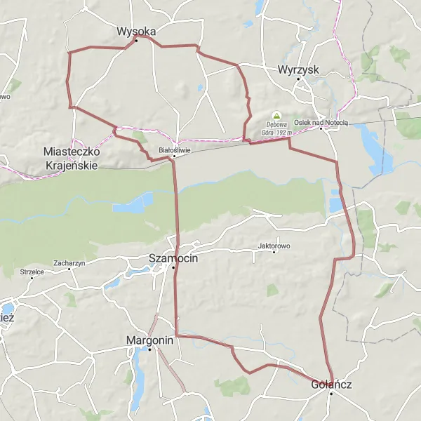 Map miniature of "Gravel route around Gołańcz" cycling inspiration in Wielkopolskie, Poland. Generated by Tarmacs.app cycling route planner