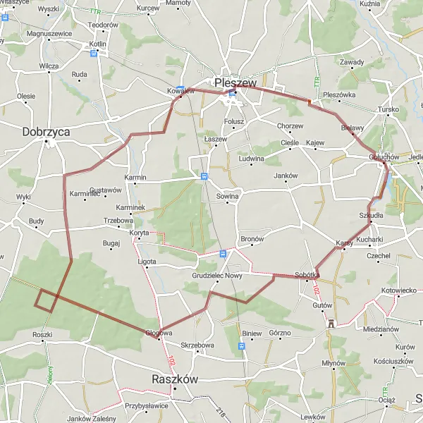 Map miniature of "Scenic Gravel Loop from Gołuchów" cycling inspiration in Wielkopolskie, Poland. Generated by Tarmacs.app cycling route planner