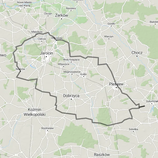 Map miniature of "Gołuchów Scenic Road Cycling Adventure" cycling inspiration in Wielkopolskie, Poland. Generated by Tarmacs.app cycling route planner