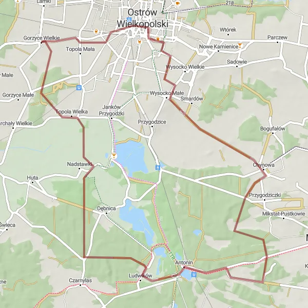 Map miniature of "The Gems of Chynowa and Ostrów Wielkopolski" cycling inspiration in Wielkopolskie, Poland. Generated by Tarmacs.app cycling route planner