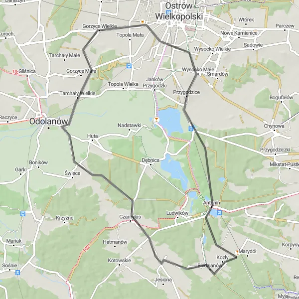 Map miniature of "The Antonin Discovery" cycling inspiration in Wielkopolskie, Poland. Generated by Tarmacs.app cycling route planner