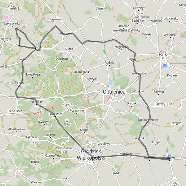 Miniatura mapy "Trasa do Sątop i Niegolewa" - trasy rowerowej w Wielkopolskie, Poland. Wygenerowane przez planer tras rowerowych Tarmacs.app