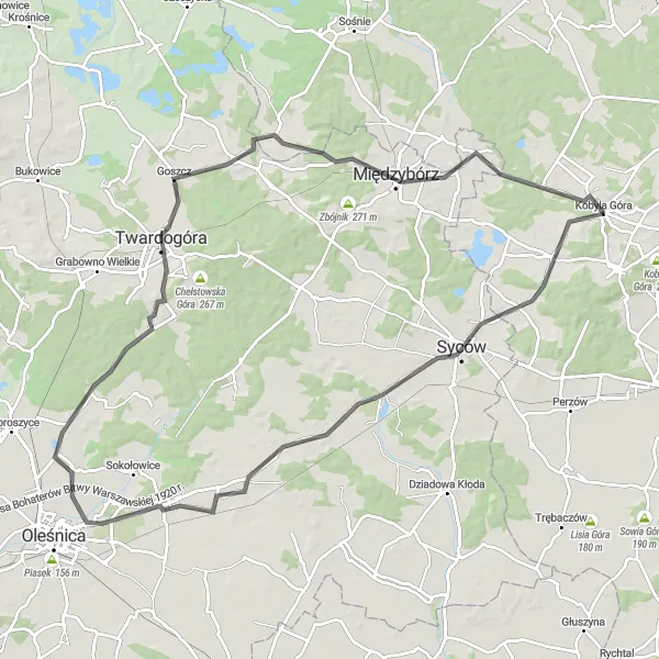 Miniatura mapy "Szlak dojazdowy przez Kobylą Górę" - trasy rowerowej w Wielkopolskie, Poland. Wygenerowane przez planer tras rowerowych Tarmacs.app