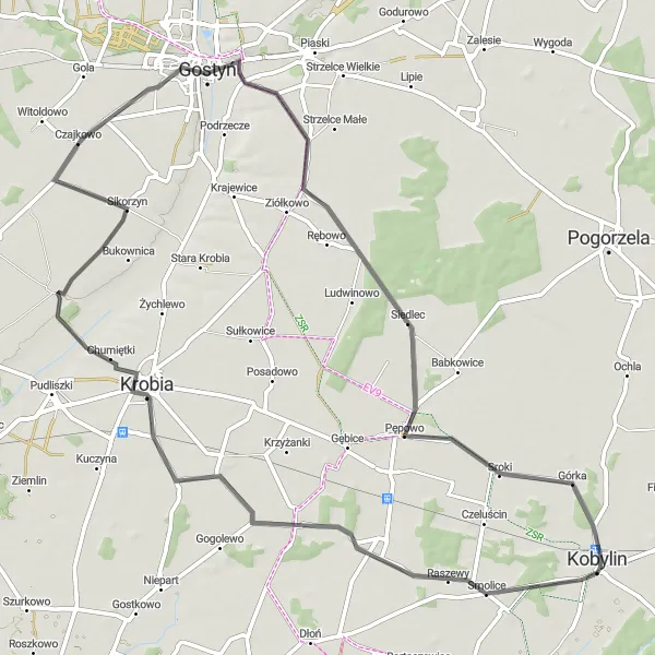 Map miniature of "Kobylin to Smolice Loop" cycling inspiration in Wielkopolskie, Poland. Generated by Tarmacs.app cycling route planner