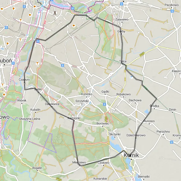 Map miniature of "Countryside Road Loop" cycling inspiration in Wielkopolskie, Poland. Generated by Tarmacs.app cycling route planner