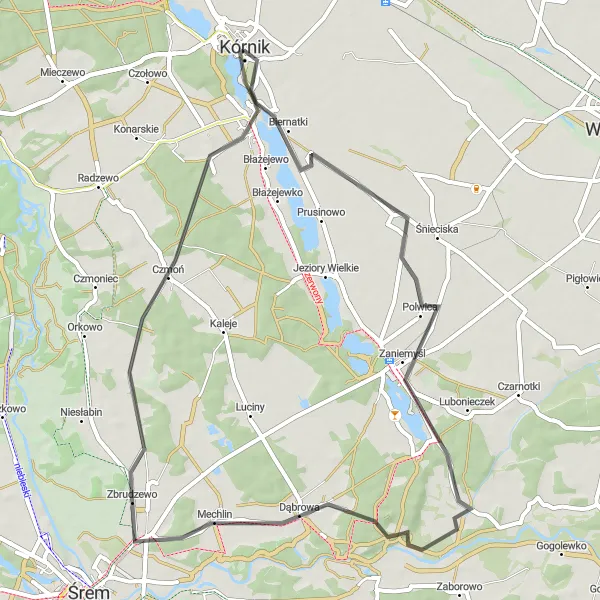 Map miniature of "Pleasant Countryside Ride" cycling inspiration in Wielkopolskie, Poland. Generated by Tarmacs.app cycling route planner