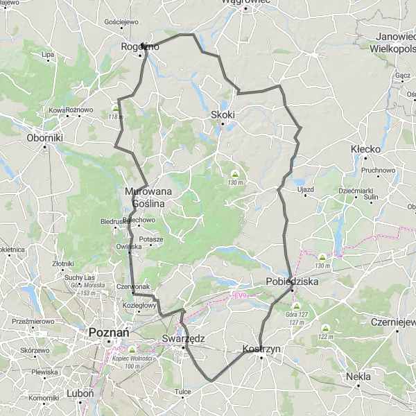 Map miniature of "The Swarzędz Loop" cycling inspiration in Wielkopolskie, Poland. Generated by Tarmacs.app cycling route planner