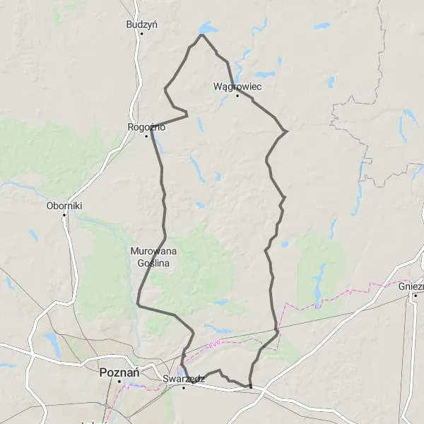 Map miniature of "The Great Loop" cycling inspiration in Wielkopolskie, Poland. Generated by Tarmacs.app cycling route planner