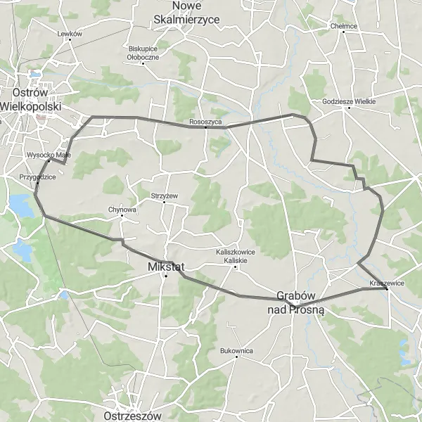 Map miniature of "Mikstat and Wysocko Wielkie Route" cycling inspiration in Wielkopolskie, Poland. Generated by Tarmacs.app cycling route planner