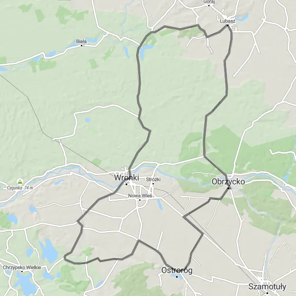 Map miniature of "Wronki Challenge" cycling inspiration in Wielkopolskie, Poland. Generated by Tarmacs.app cycling route planner