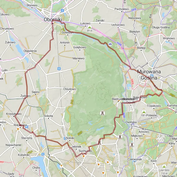 Map miniature of "Adventure Gravel Ride near Murowana Goślina" cycling inspiration in Wielkopolskie, Poland. Generated by Tarmacs.app cycling route planner
