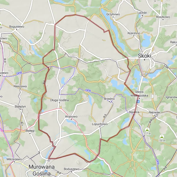 Map miniature of "Rural gravel ride through Trojanowo, Studzieniec, and Głębocko" cycling inspiration in Wielkopolskie, Poland. Generated by Tarmacs.app cycling route planner