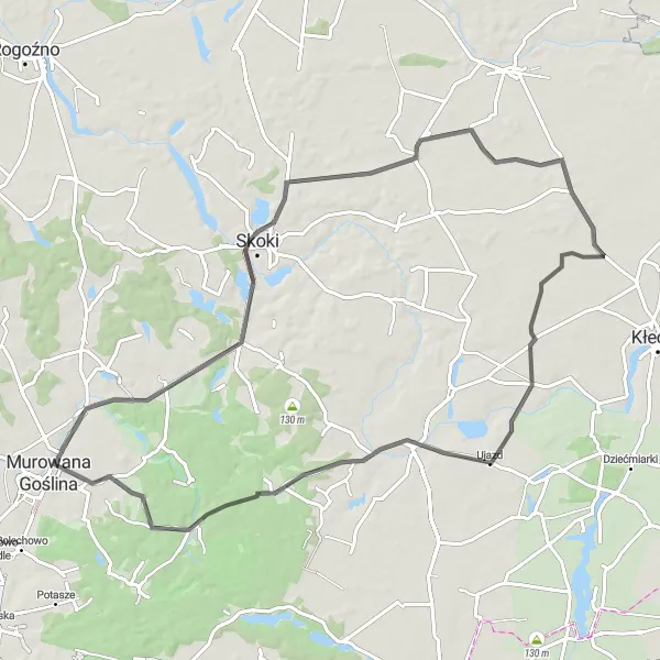 Map miniature of "Southern loop featuring Łopuchowo, Popowo Kościelne, and Myszki" cycling inspiration in Wielkopolskie, Poland. Generated by Tarmacs.app cycling route planner