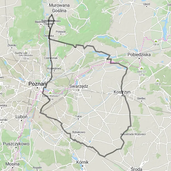 Map miniature of "Scenic Road Route near Murowana Goślina" cycling inspiration in Wielkopolskie, Poland. Generated by Tarmacs.app cycling route planner