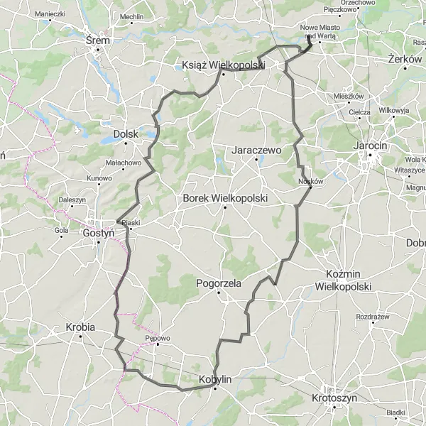 Map miniature of "Countryside Charm" cycling inspiration in Wielkopolskie, Poland. Generated by Tarmacs.app cycling route planner