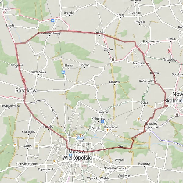 Miniatura mapy "Pętla Biskupice Ołoboczne - Miedzianów" - trasy rowerowej w Wielkopolskie, Poland. Wygenerowane przez planer tras rowerowych Tarmacs.app