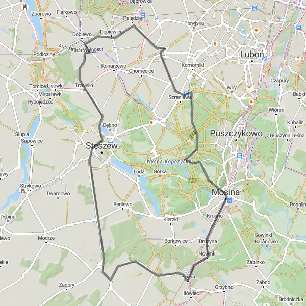 Map miniature of "Bieczyny and Szreniawa Loop" cycling inspiration in Wielkopolskie, Poland. Generated by Tarmacs.app cycling route planner