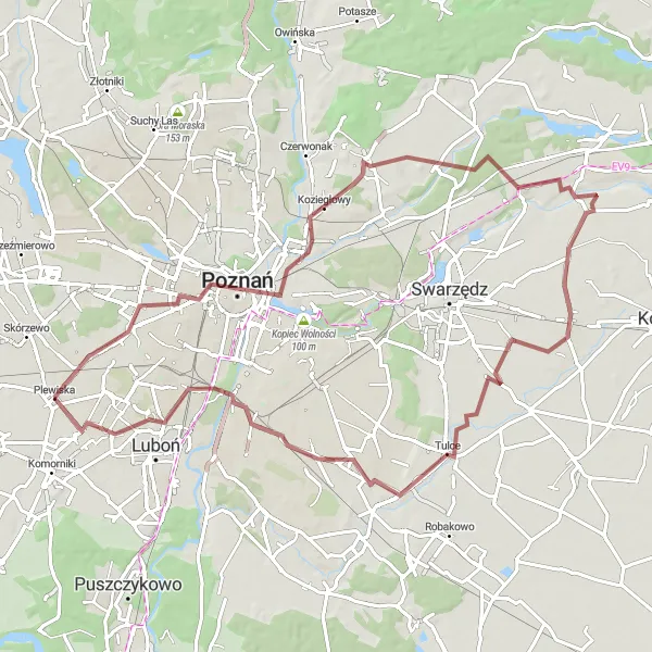 Map miniature of "Gravel Ride to Łysa Góra and Beyond" cycling inspiration in Wielkopolskie, Poland. Generated by Tarmacs.app cycling route planner