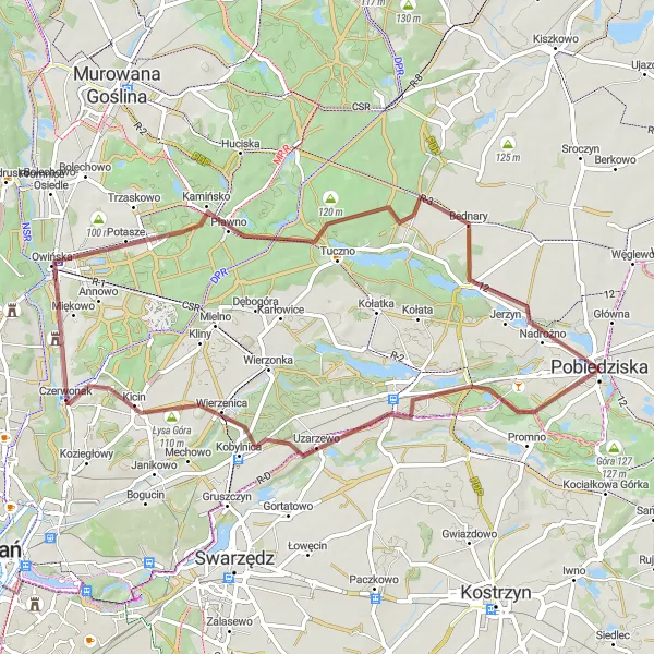 Map miniature of "Countryside Charm" cycling inspiration in Wielkopolskie, Poland. Generated by Tarmacs.app cycling route planner