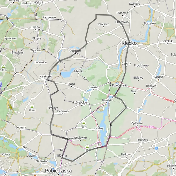 Map miniature of "Charming Villages" cycling inspiration in Wielkopolskie, Poland. Generated by Tarmacs.app cycling route planner