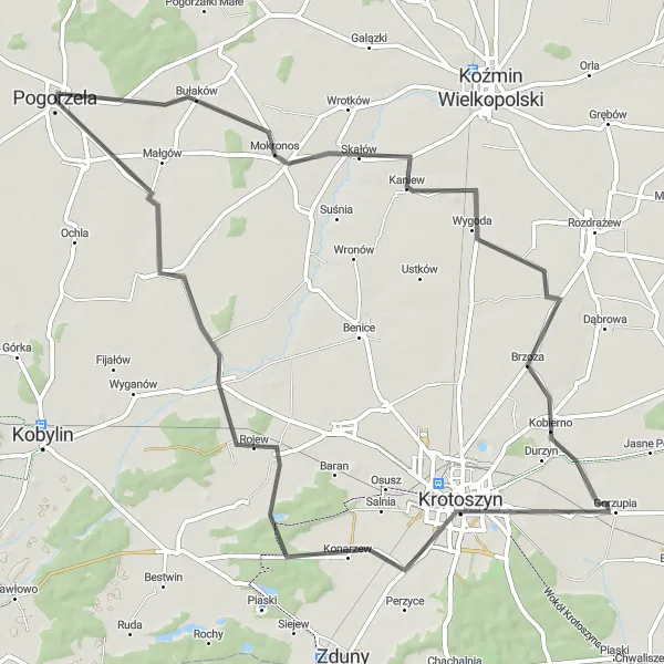 Map miniature of "The Krotoszyn Loop" cycling inspiration in Wielkopolskie, Poland. Generated by Tarmacs.app cycling route planner