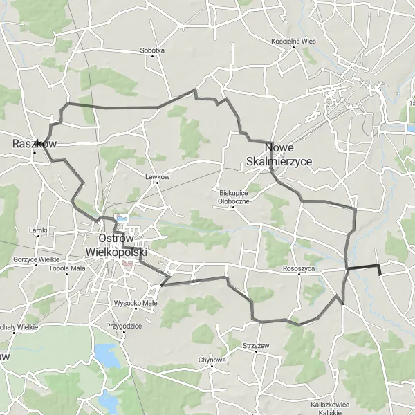 Map miniature of "Wielkopolskie Loop" cycling inspiration in Wielkopolskie, Poland. Generated by Tarmacs.app cycling route planner