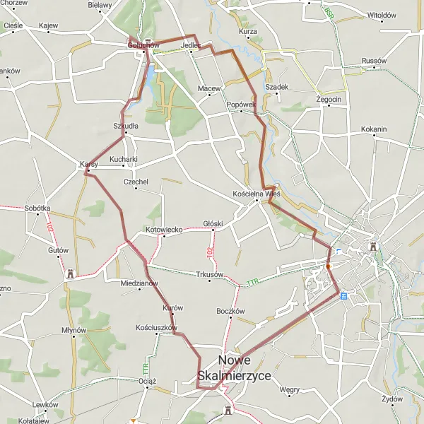 Map miniature of "Skalmierzyce Gravel Adventure" cycling inspiration in Wielkopolskie, Poland. Generated by Tarmacs.app cycling route planner