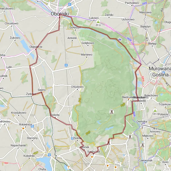 Map miniature of "Charming Villages Expedition" cycling inspiration in Wielkopolskie, Poland. Generated by Tarmacs.app cycling route planner