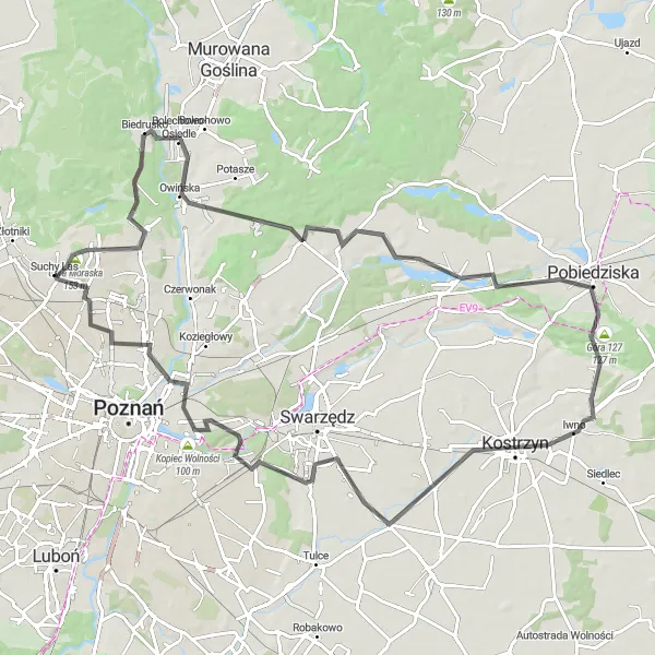 Map miniature of "Countryside Escape" cycling inspiration in Wielkopolskie, Poland. Generated by Tarmacs.app cycling route planner