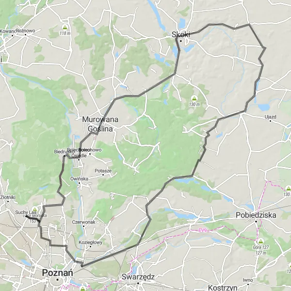 Map miniature of "Promnice Loop" cycling inspiration in Wielkopolskie, Poland. Generated by Tarmacs.app cycling route planner