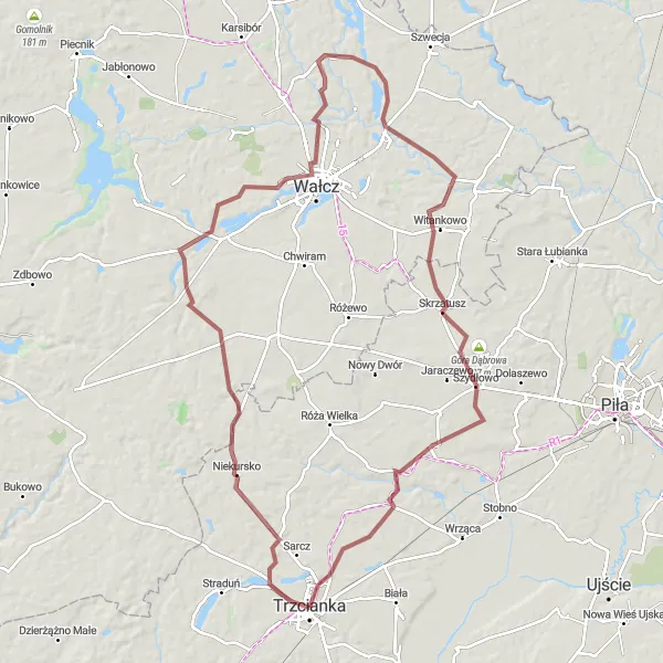 Map miniature of "Exploring Wielkopolskie's Hidden Gems" cycling inspiration in Wielkopolskie, Poland. Generated by Tarmacs.app cycling route planner