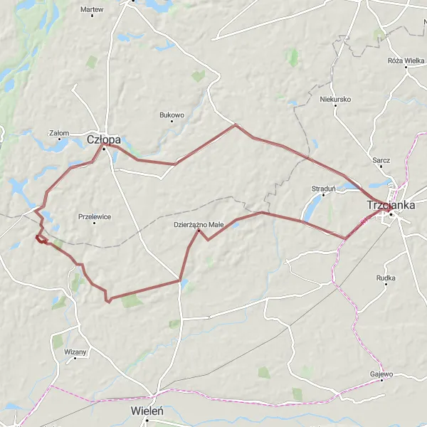 Map miniature of "Trzcianka - Dzierżążno Małe - Dębogóra - Człopa - Trzcianka" cycling inspiration in Wielkopolskie, Poland. Generated by Tarmacs.app cycling route planner