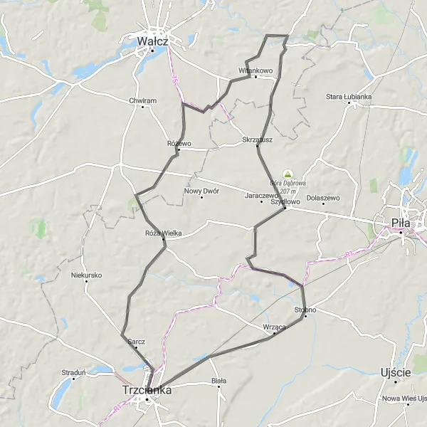 Map miniature of "Trzcianka - Różewo - Witankowo - Szydłowo - Trzcianka" cycling inspiration in Wielkopolskie, Poland. Generated by Tarmacs.app cycling route planner