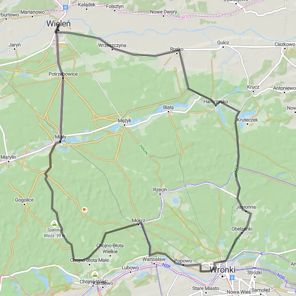 Map miniature of "Hamrzysko Castle Scenic Ride" cycling inspiration in Wielkopolskie, Poland. Generated by Tarmacs.app cycling route planner