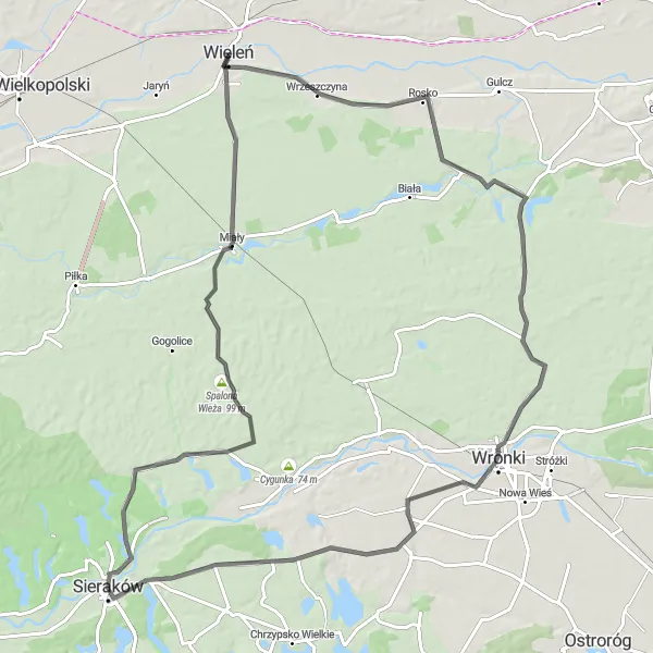 Map miniature of "Scenic Countryside Ride" cycling inspiration in Wielkopolskie, Poland. Generated by Tarmacs.app cycling route planner