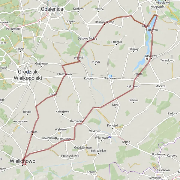 Map miniature of "Wielichowo and Surroundings" cycling inspiration in Wielkopolskie, Poland. Generated by Tarmacs.app cycling route planner