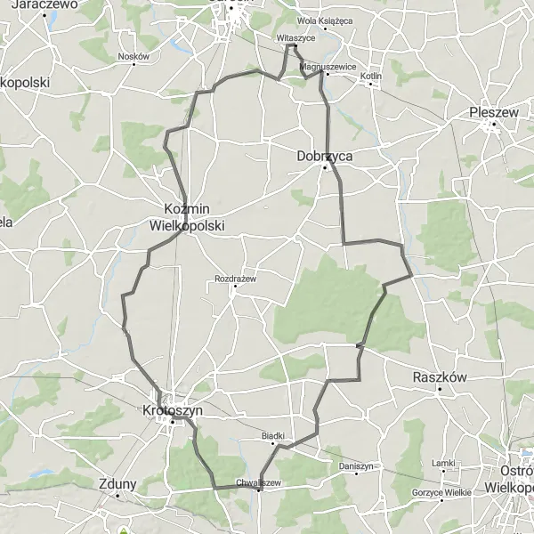 Miniatura mapy "Długa trasa szosowa przez Biadki i Golinę" - trasy rowerowej w Wielkopolskie, Poland. Wygenerowane przez planer tras rowerowych Tarmacs.app