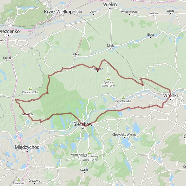 Map miniature of "Gravel Adventure through the Wilderness" cycling inspiration in Wielkopolskie, Poland. Generated by Tarmacs.app cycling route planner