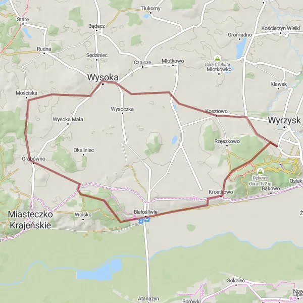 Map miniature of "Discover Białośliwie" cycling inspiration in Wielkopolskie, Poland. Generated by Tarmacs.app cycling route planner
