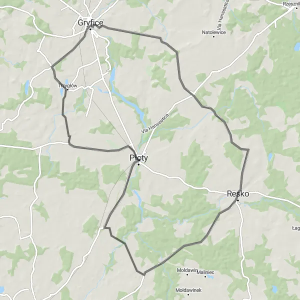 Map miniature of "Resko-Losośnica-Lisowo-Mechowo-Dąbie-Smólsko" cycling inspiration in Zachodniopomorskie, Poland. Generated by Tarmacs.app cycling route planner