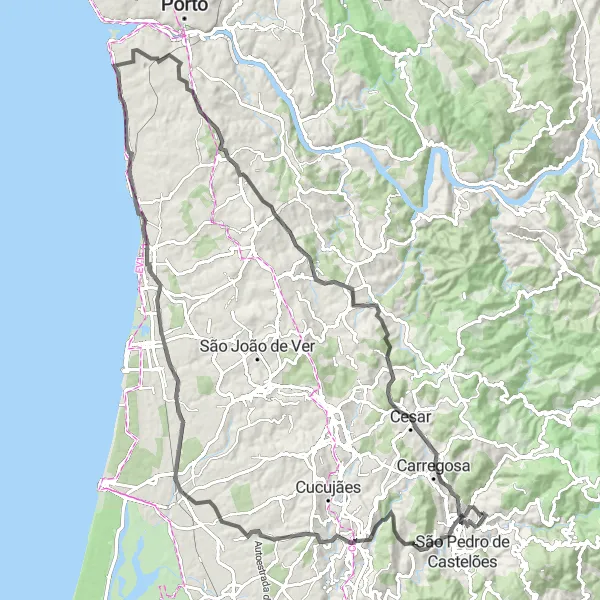 Miniatura do mapa de inspiração para ciclismo "Rota dos Vales Verdes" em Norte, Portugal. Gerado pelo planejador de rotas de ciclismo Tarmacs.app