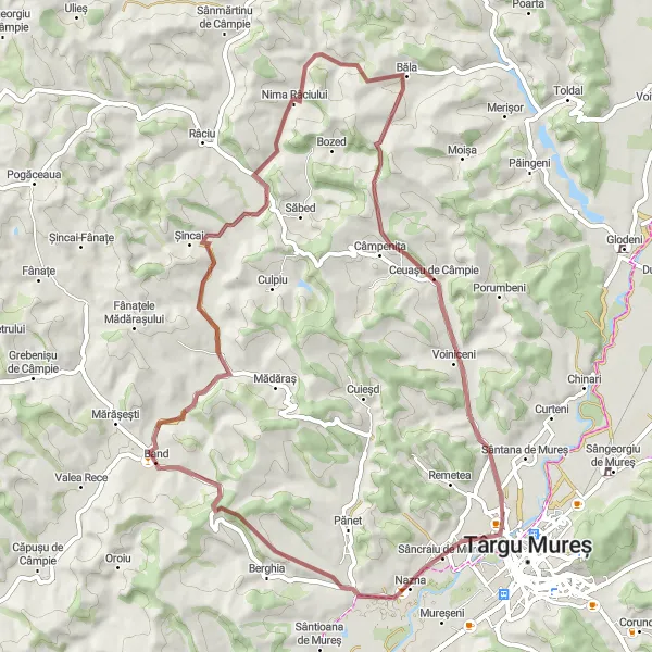 Map miniature of "Nima Râciului Gravel Adventure" cycling inspiration in Centru, Romania. Generated by Tarmacs.app cycling route planner