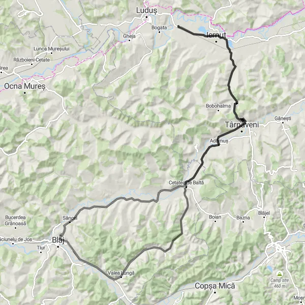 Map miniature of "Cuci to Iernut Scenic Road Cycling Route" cycling inspiration in Centru, Romania. Generated by Tarmacs.app cycling route planner
