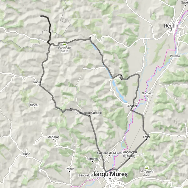 Map miniature of "The Castle Loop" cycling inspiration in Centru, Romania. Generated by Tarmacs.app cycling route planner