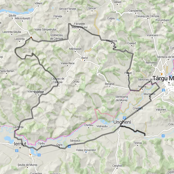 Map miniature of "The Lechința Challenge" cycling inspiration in Centru, Romania. Generated by Tarmacs.app cycling route planner
