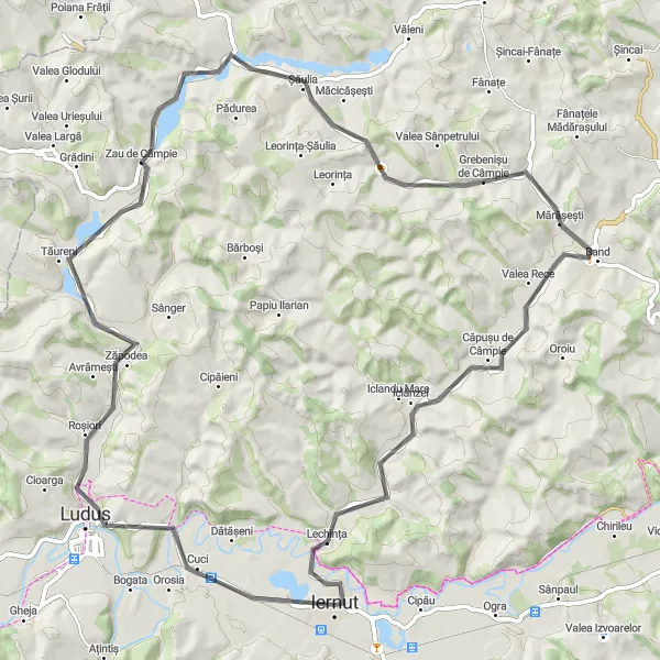 Map miniature of "The Luduș Loop" cycling inspiration in Centru, Romania. Generated by Tarmacs.app cycling route planner